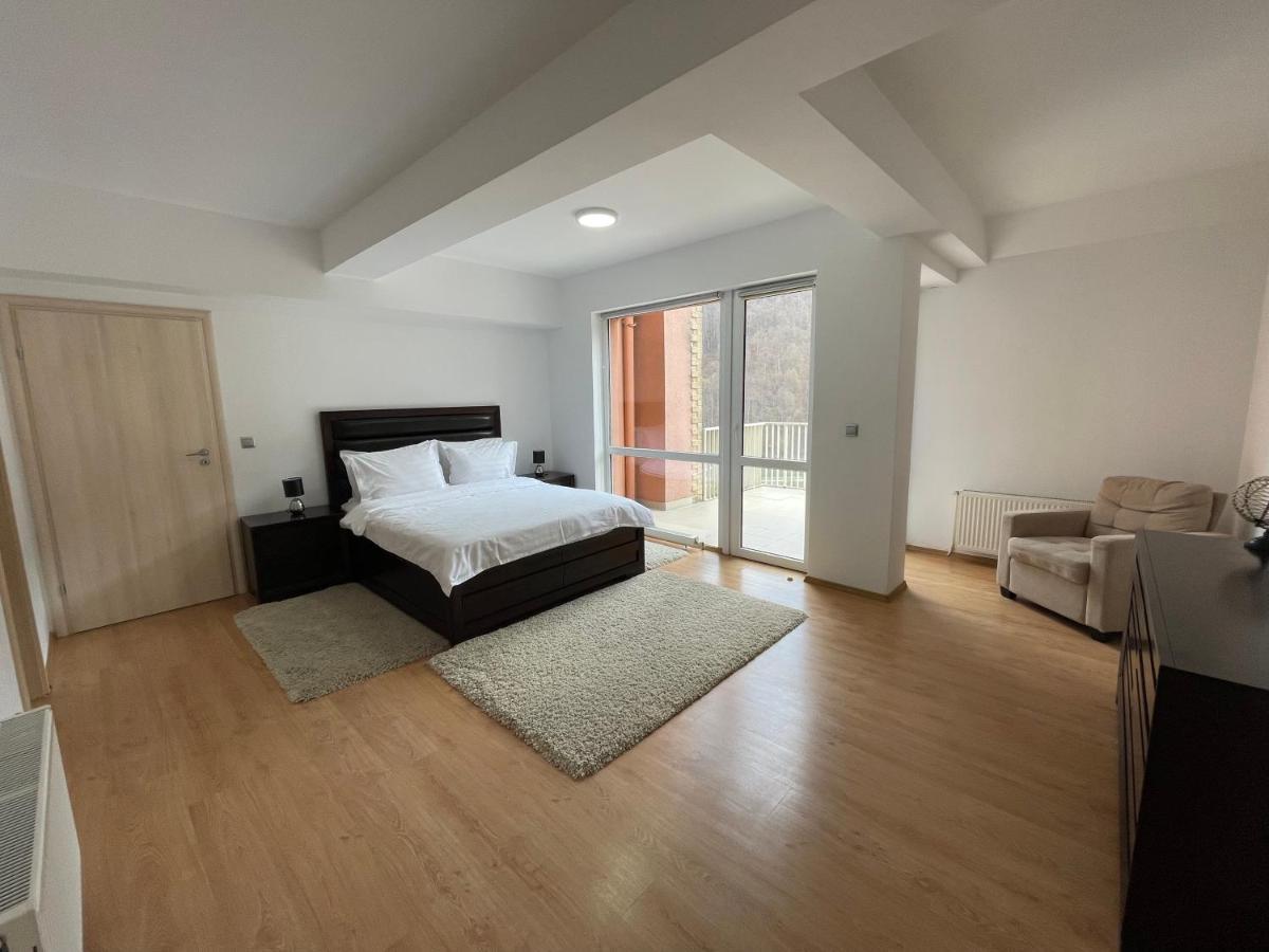 Appartement Kyra Luxury Penthouse à Sinaia Extérieur photo